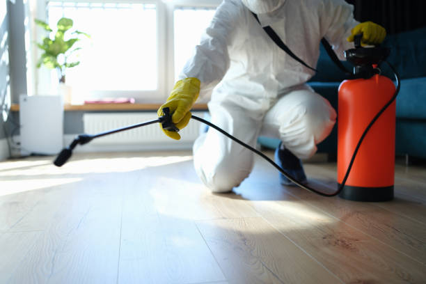 Affordable Sewage Cleanup solutions in Gerton, NC